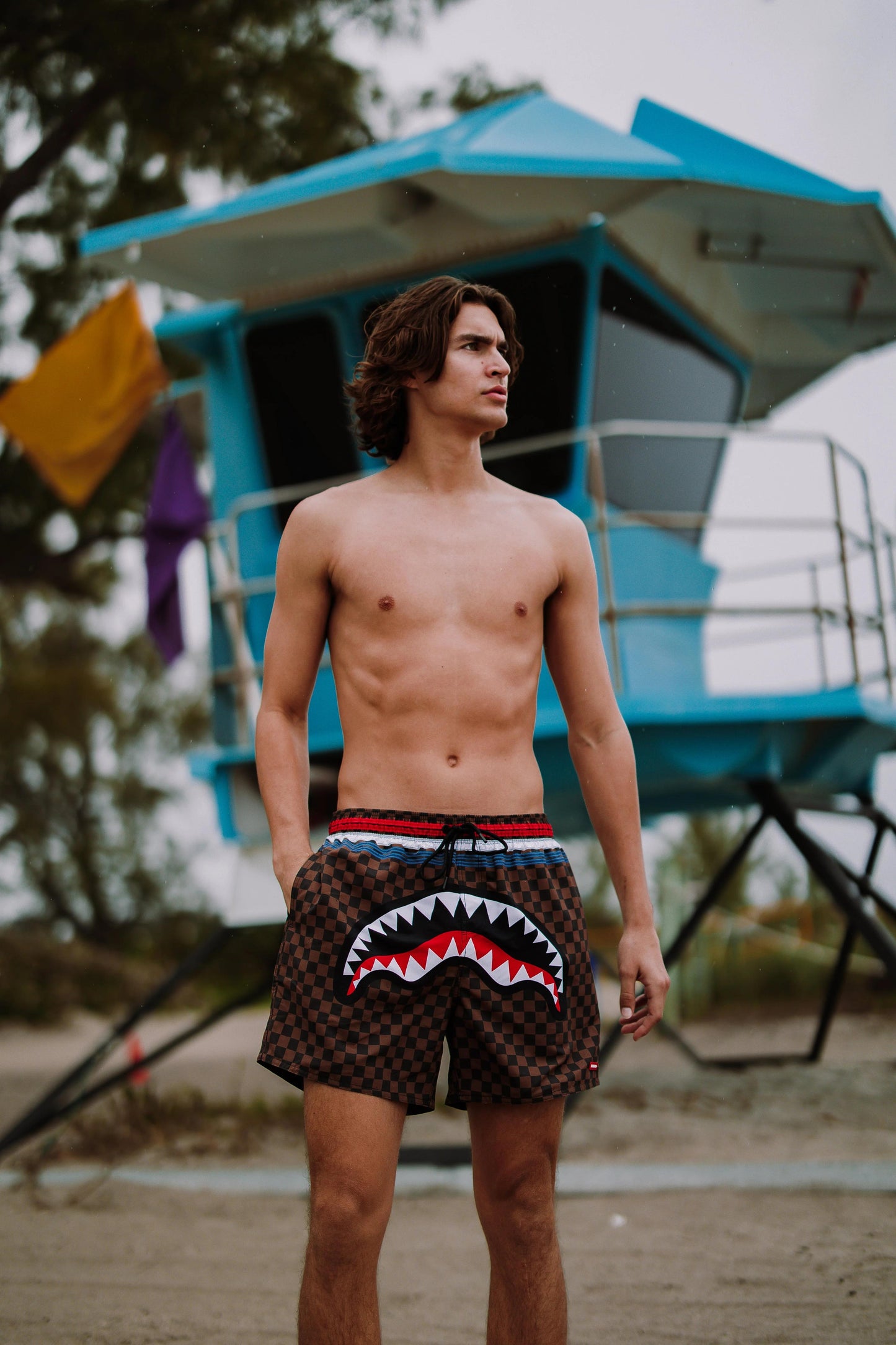 Sprayground Recommended | SHARKS IN PARIS GT SWIM SHORTS