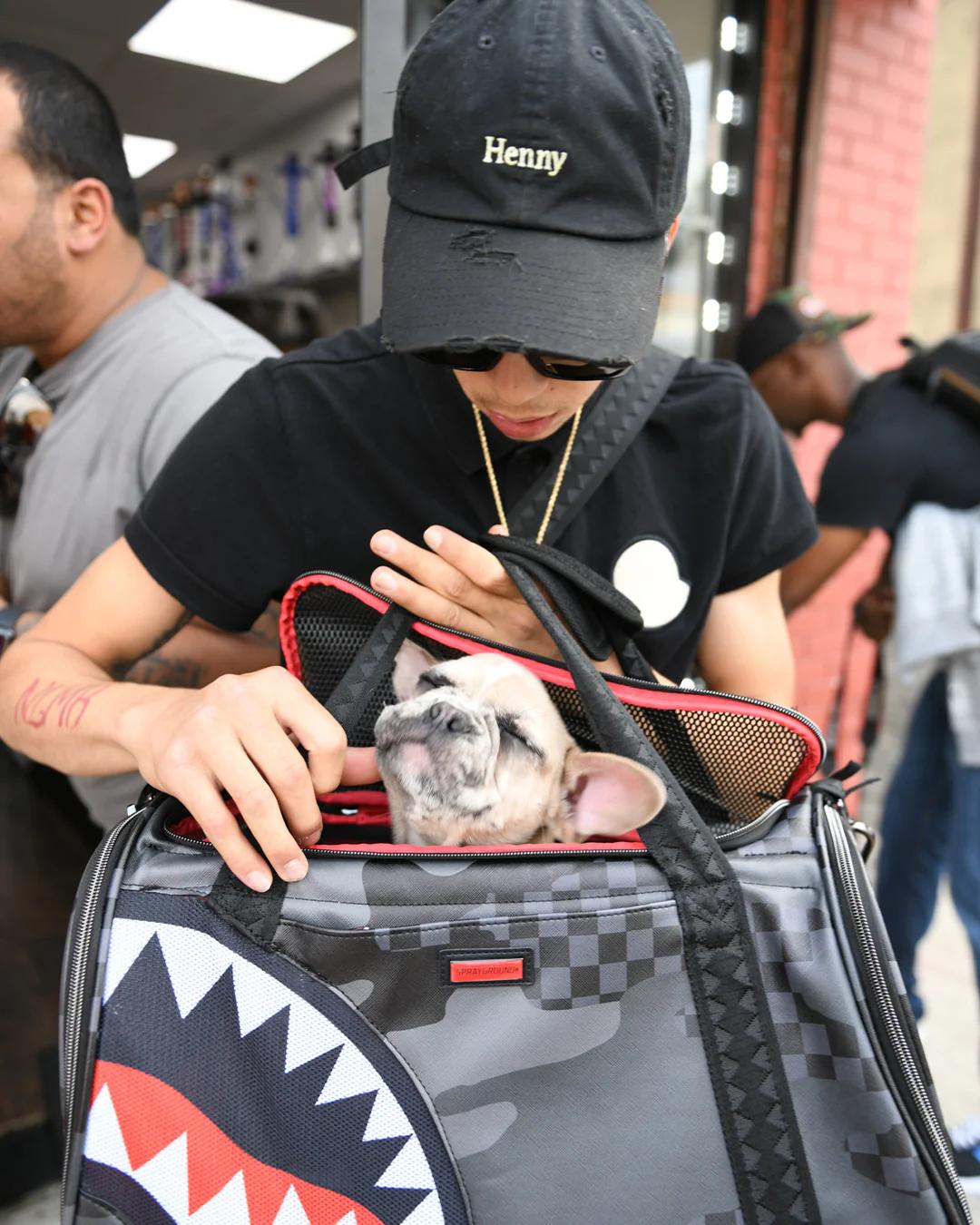 Sprayground Signature | 3AM PET CARRIER