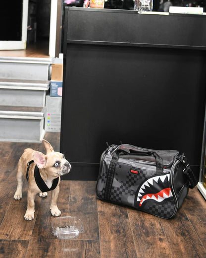 Sprayground Signature | 3AM PET CARRIER